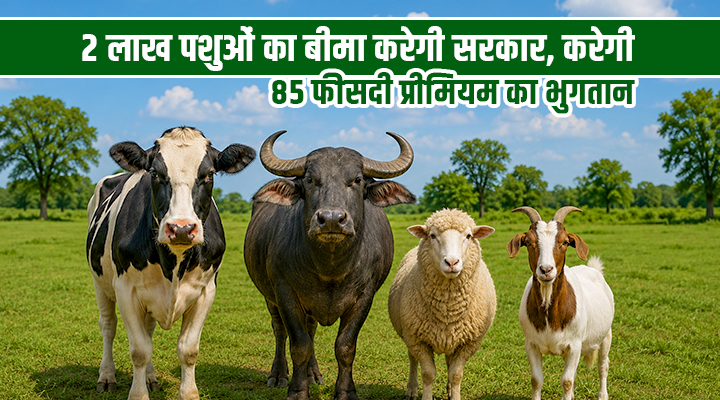 उत्तर प्रदेश सरकार की पशुपालकों के लिए ख़ास स्कीम, ‘मुख्यमंत्री जोखिम प्रबंधन एवं पशुधन बीमा योजना’ को हरी झंडी