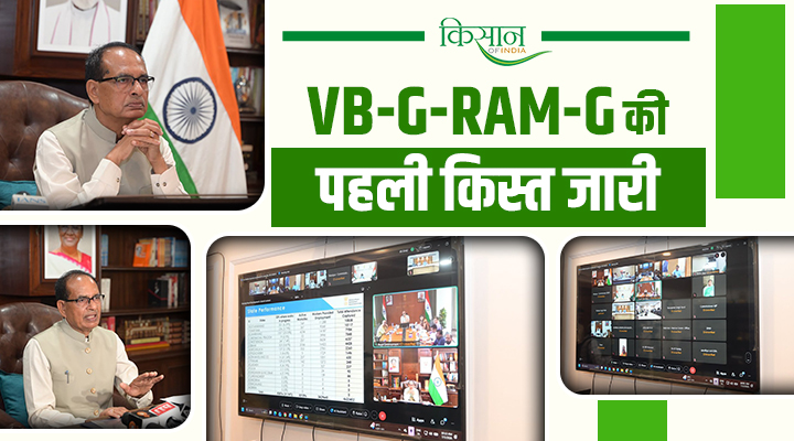 VB-G-RAM-G