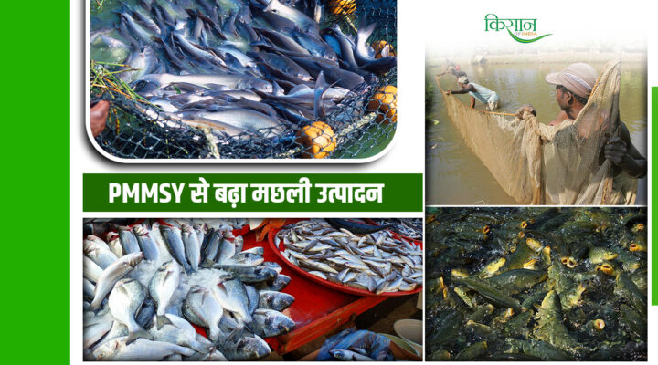 प्रधानमंत्री मत्स्य संपदा योजना