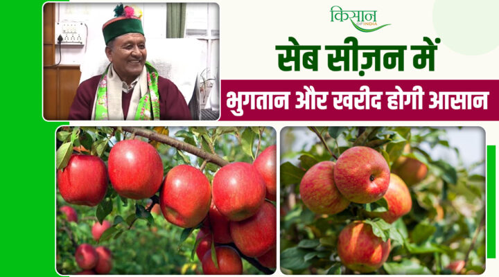 सेब सीज़न