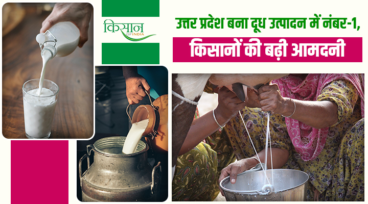 Uttar Pradesh के गांवों में बदलती तस्वीर: 38.8 मिलियन मीट्रिक टन Milk Production के साथ यूपी बना देश में नंबर वन