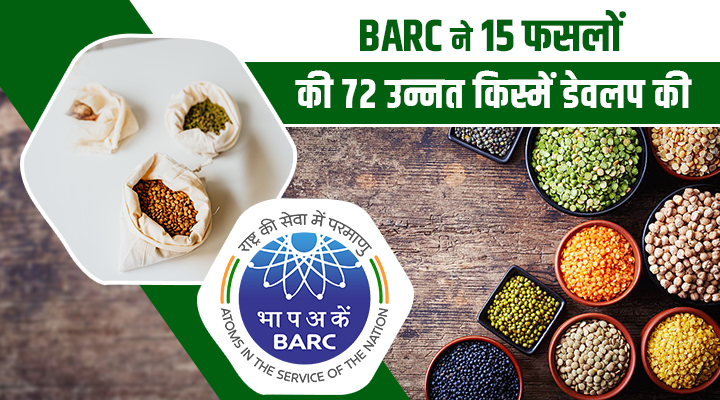 BARC की 72 उन्नत फसल किस्में: किसानों के लिए वरदान बनी Nuclear Technology