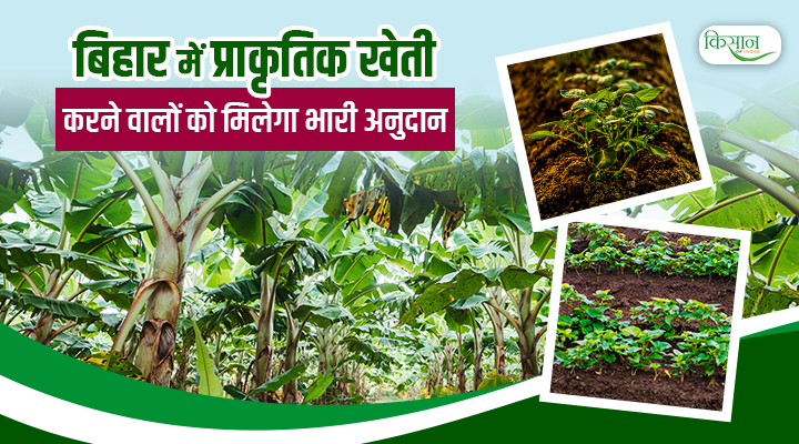 बिहार सरकार दे रही प्राकृतिक खेती को बढ़ावा: किसानों को मिलेगा 4000 रुपये प्रति एकड़ अनुदान