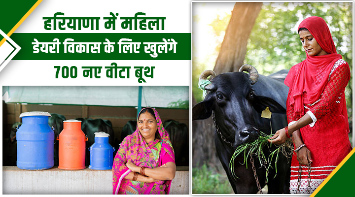 हरियाणा की महिलाओं को बड़ी सौगात: 700 नए वीटा बूथ खुलेंगे, मिलेगी 10 रुपये सब्सिडी
