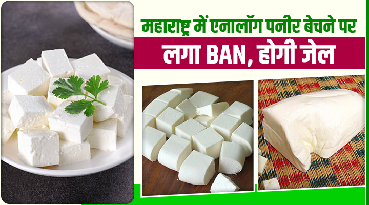 महाराष्ट्र में एनालॉग पनीर पर बैन, अब बेचने वालों को होगी जेल और भारी जुर्माना