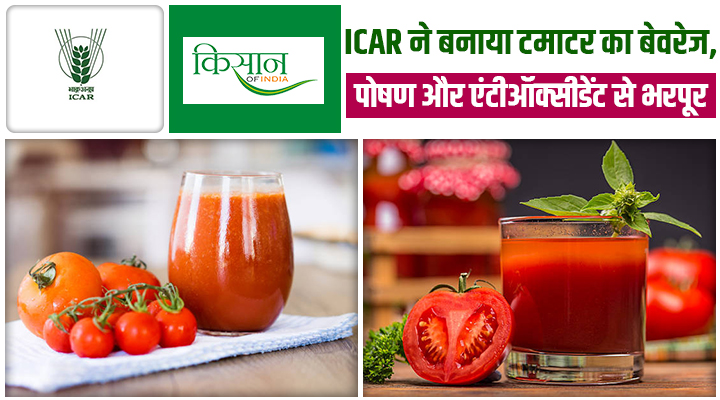 टमाटर अब सब्ज़ी नहीं, हेल्थ ड्रिंक है! ICAR का बनाया बेवरेज जो 2.5 महीने रहेगा ताज़ा