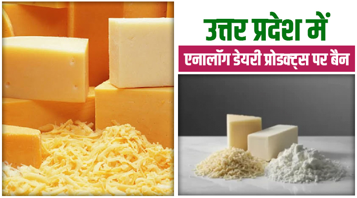 Analog dairy products banned in Uttar Pradesh: उत्तर प्रदेश में बैन हुए नकली पनीर, घी और खोया, जानें क्यों है यह कदम अहम