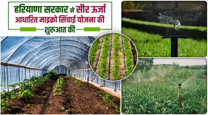 हरियाणा का Solar Energy Project : माइक्रो सिंचाई योजना की शुरुआत, महेंद्रगढ़ को मिला बड़ा हिस्सा