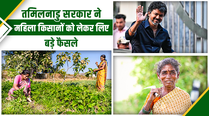तमिलनाडु सरकार ने ग्रामीण महिलाओं के लिए शुरू की 'सिंगापेंगल एंटरप्रेन्योरशिप क्रेडिट स्कीम', 50 करोड़ लॉन्ग टर्म कृषि लोन के लिए