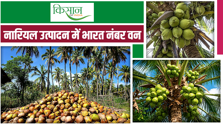 नारियल उत्पादन